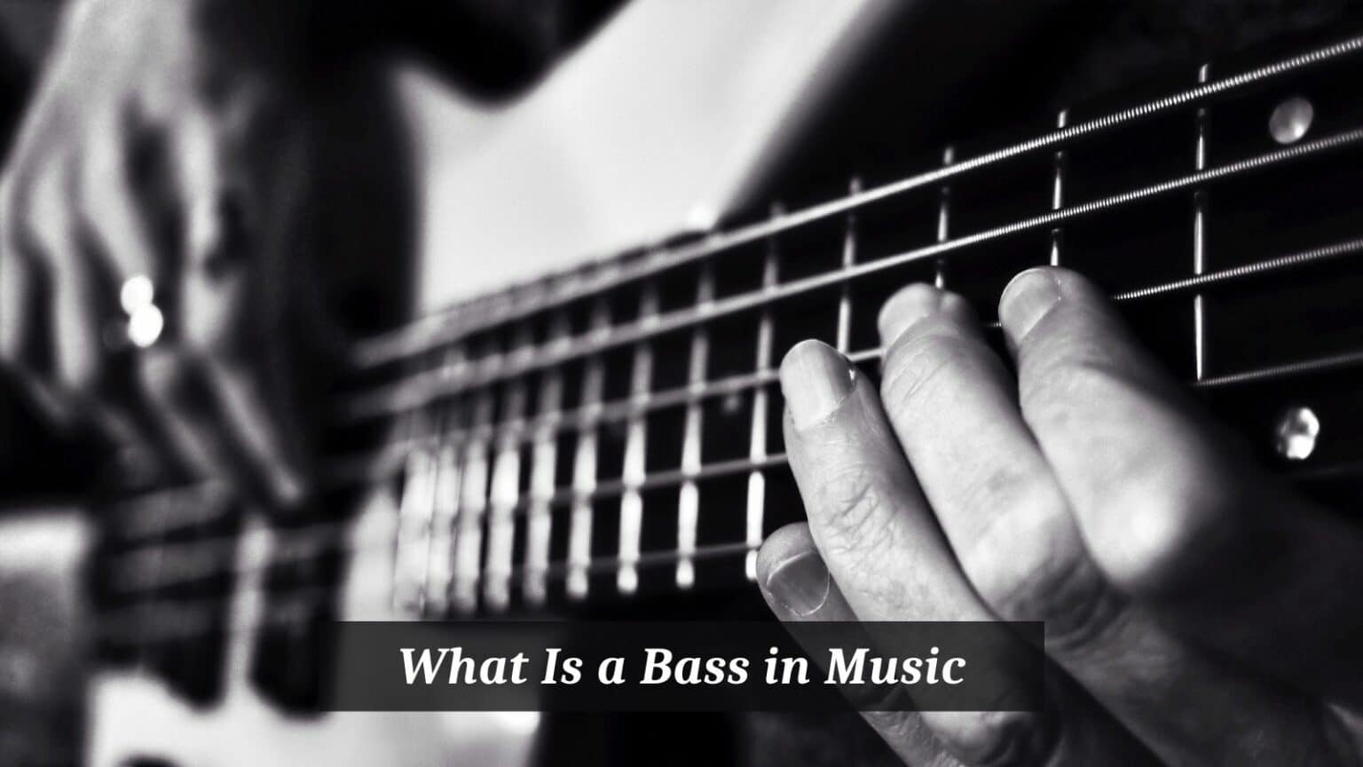 What Is a Bass in Music? CMUSE