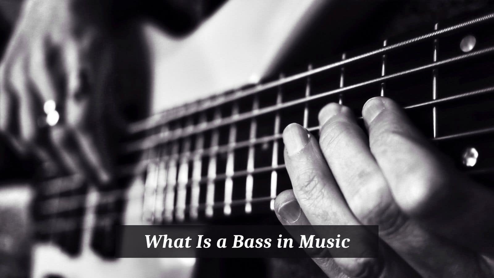 What Is a Bass in Music