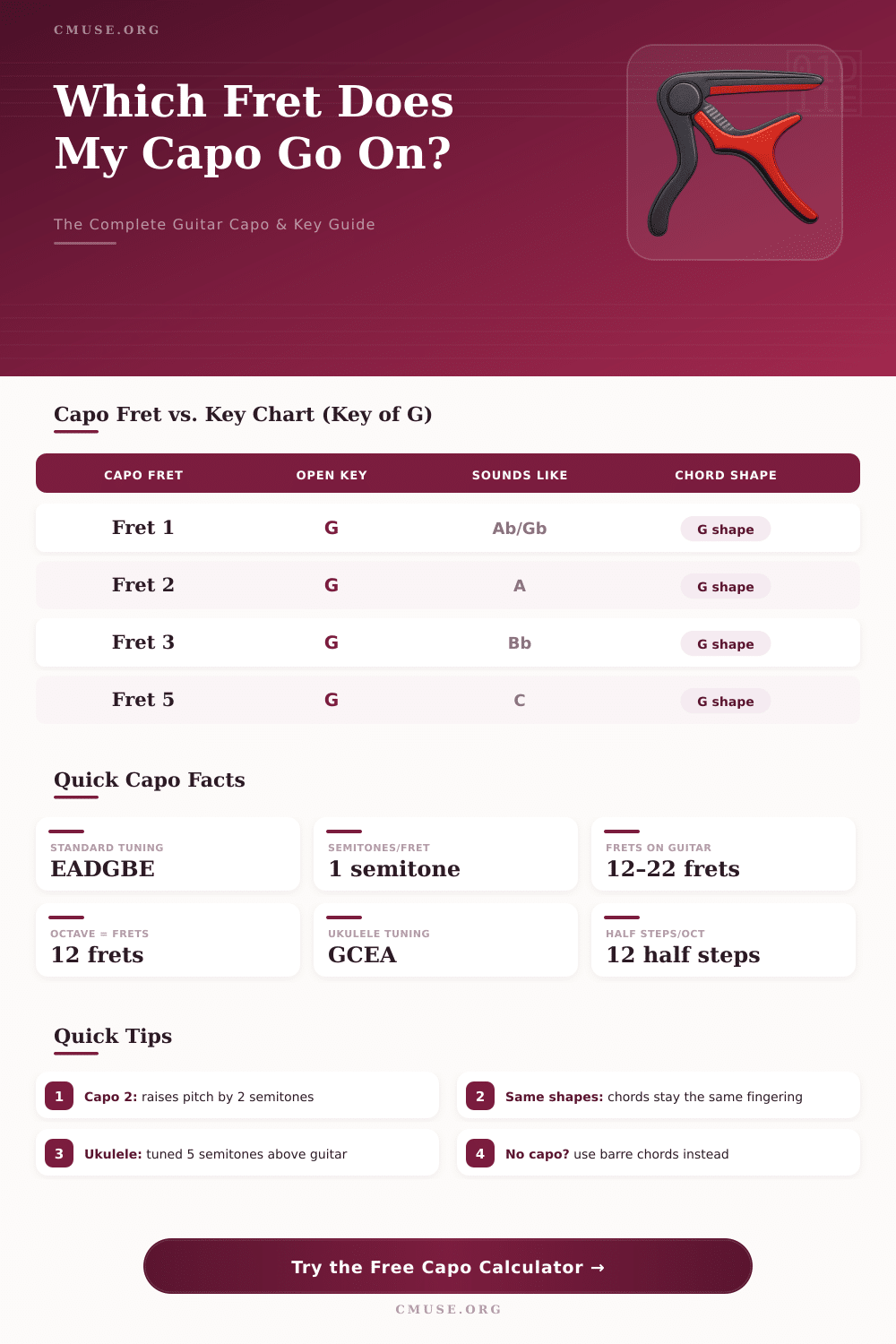 Guitar Capo Calculator: Find Your Transposed Key Instantly
