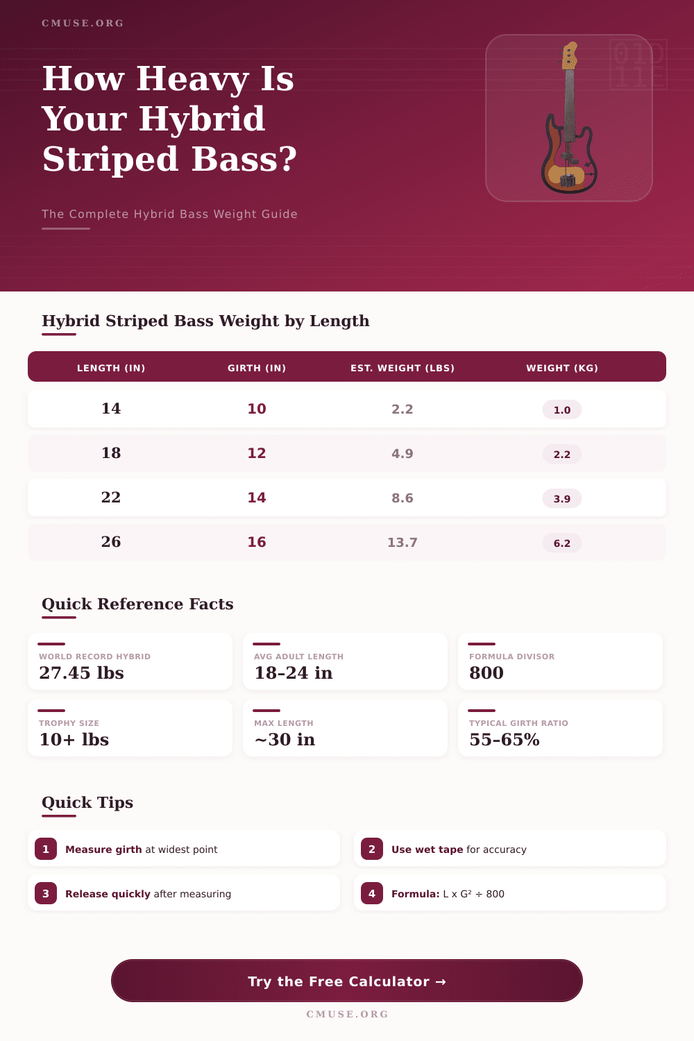 Hybrid Striped Bass Weight Calculator: Estimate Fish Weight Fast