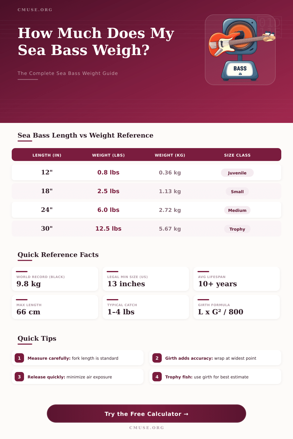 Sea Bass Weight Calculator: Estimate Fish Weight by Length