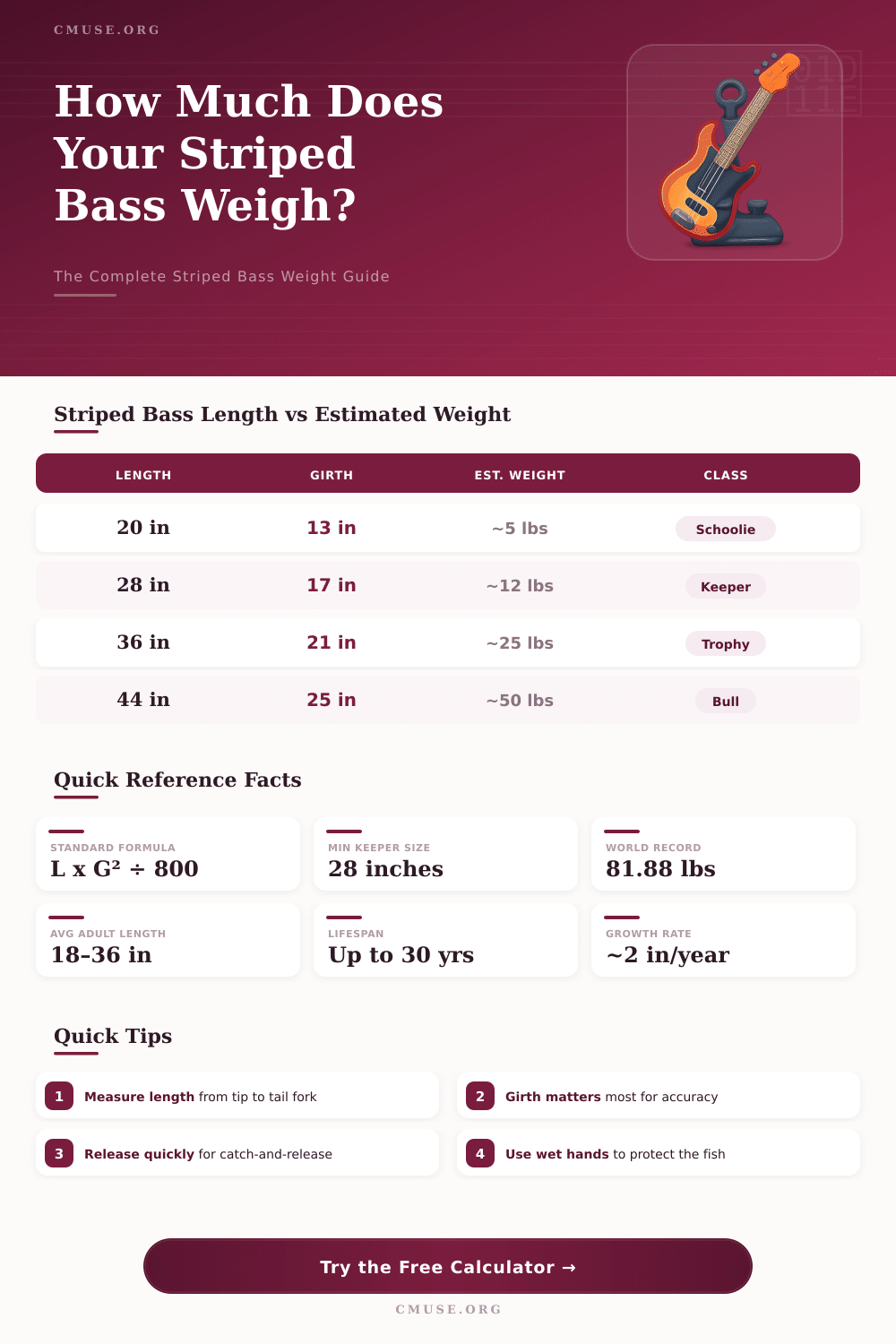 Striped Bass Weight Calculator: Estimate Fish Weight Fast