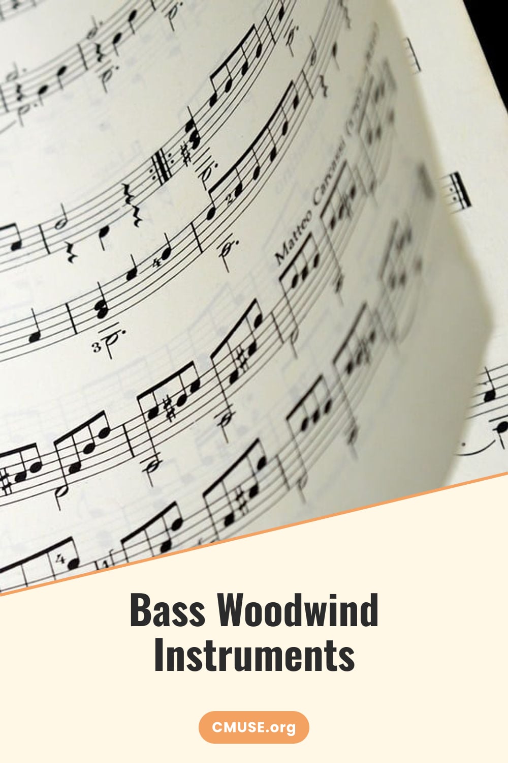 Bass Woodwind Instruments