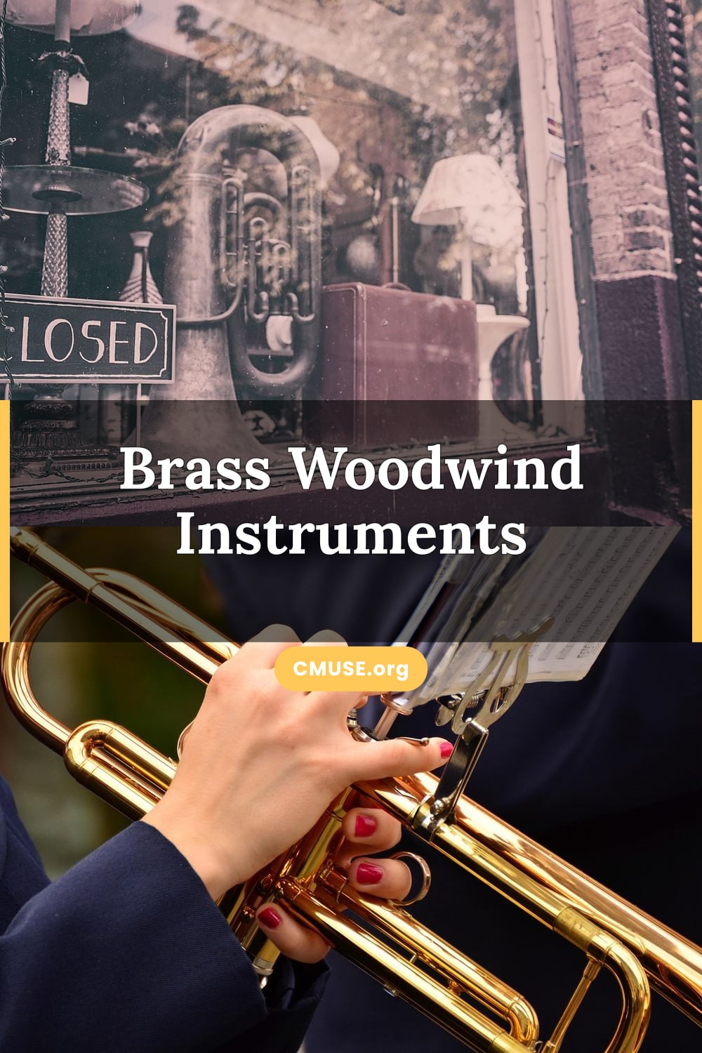 Brass Woodwind Instruments Brass Woodwind Instruments