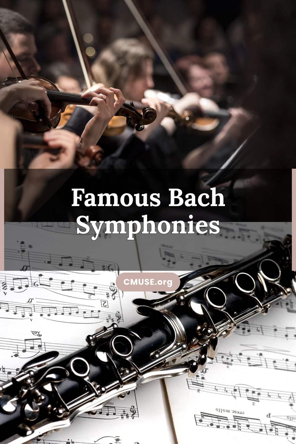 Famous Bach Symphonies Famous Bach Symphonies