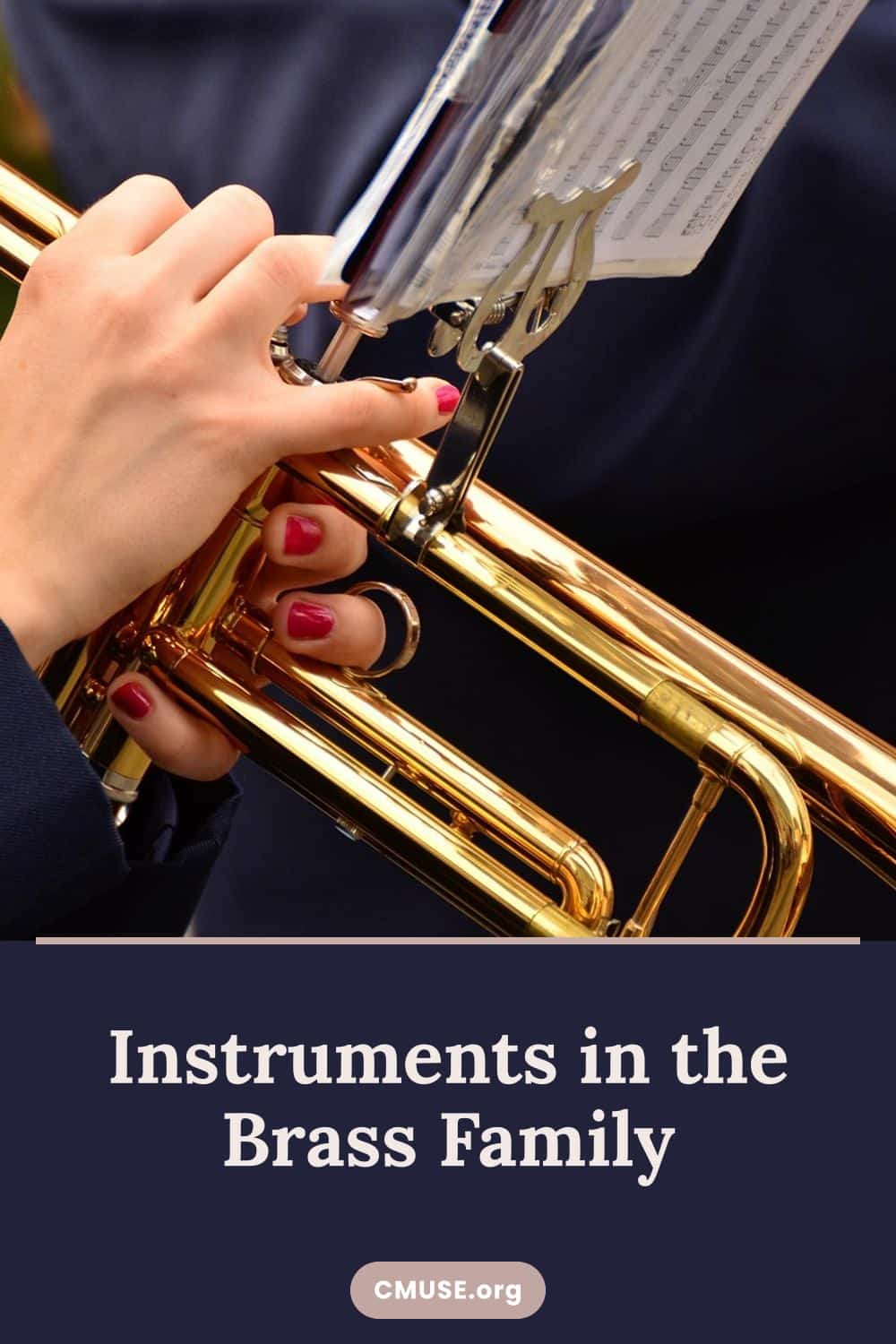 Instruments in the Brass Family
