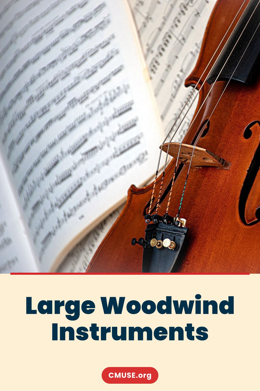 Large Woodwind Instruments