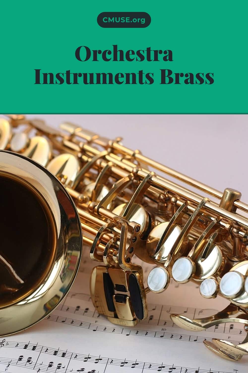 Orchestra Instruments Brass