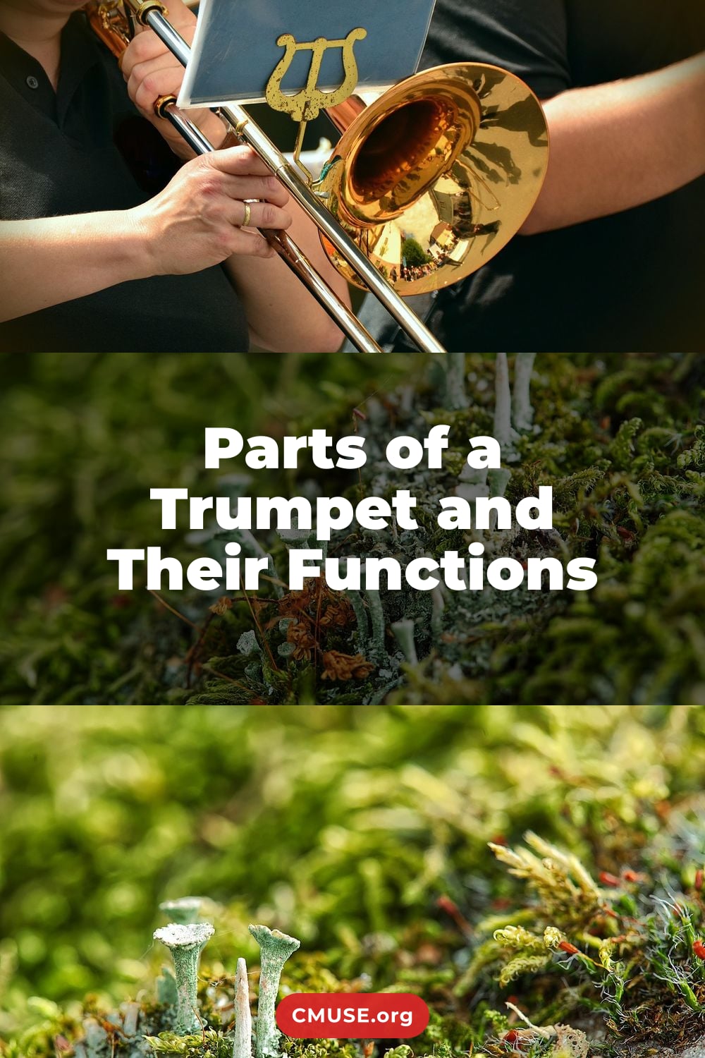 Parts of a Trumpet and Their Functions Parts of a Trumpet and Their Functions