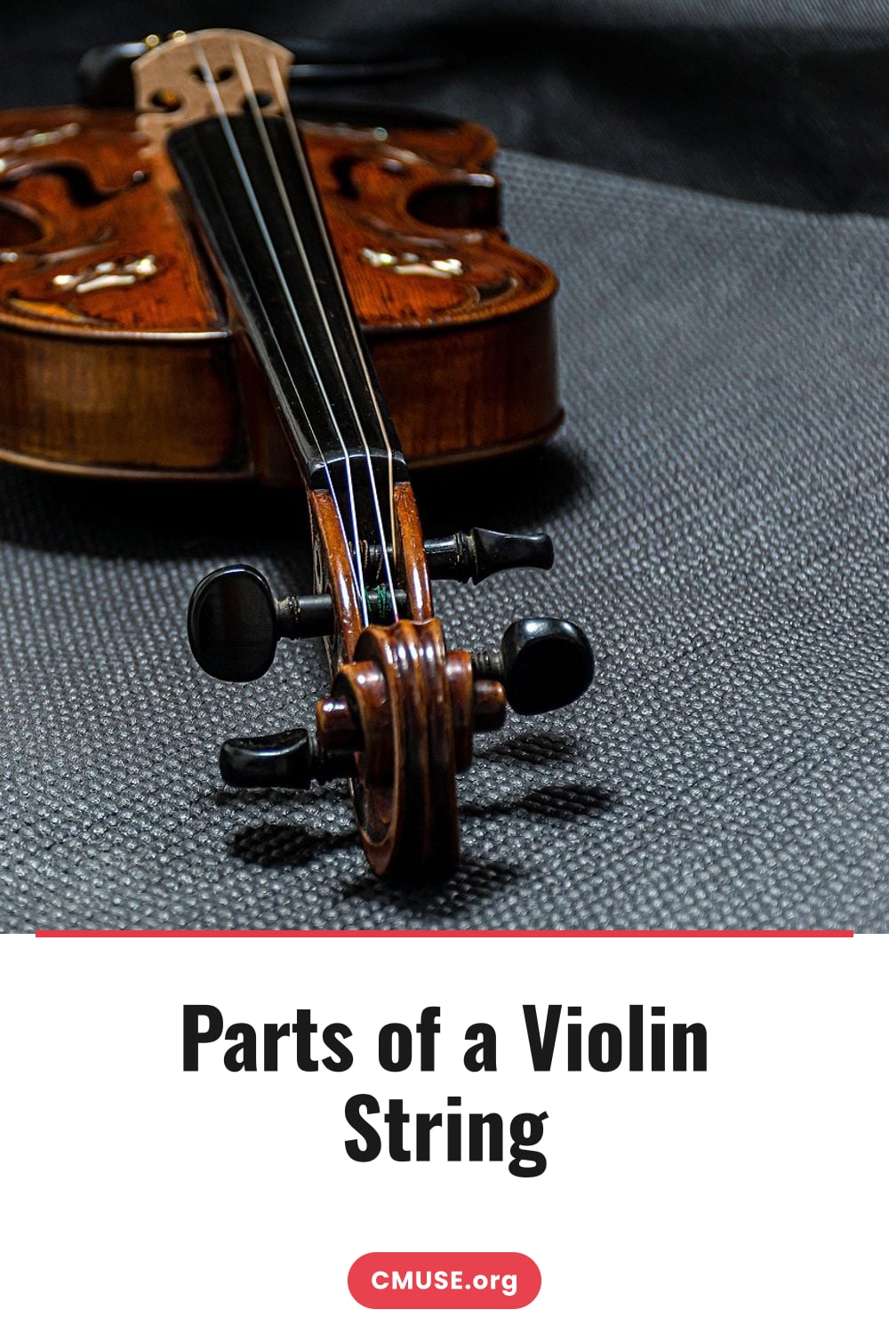 Parts of a Violin String Parts of a Violin String