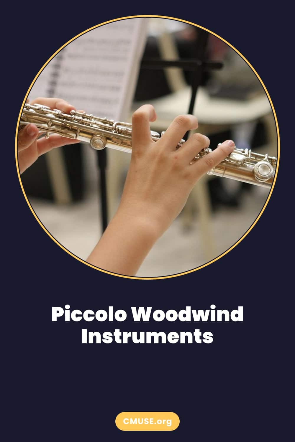 Piccolo Woodwind Instruments Piccolo Woodwind Instruments