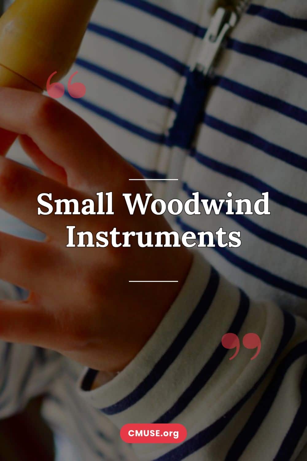Small Woodwind Instruments Small Woodwind Instruments