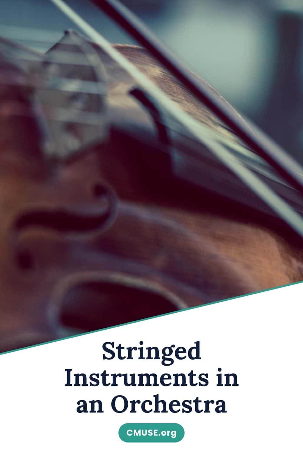 Stringed Instruments in an Orchestra Stringed Instruments in an Orchestra