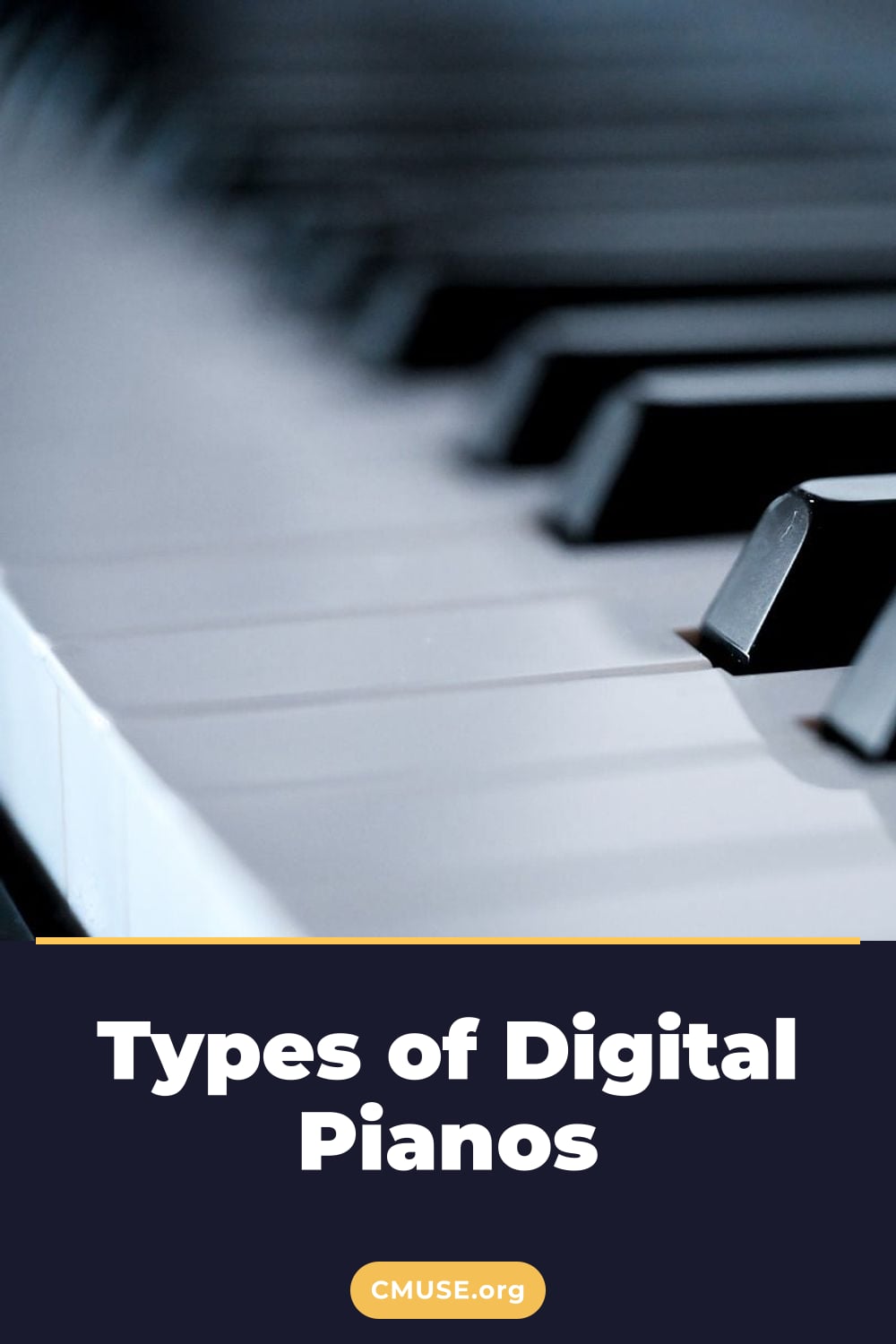 Types of Digital Pianos Types of Digital Pianos