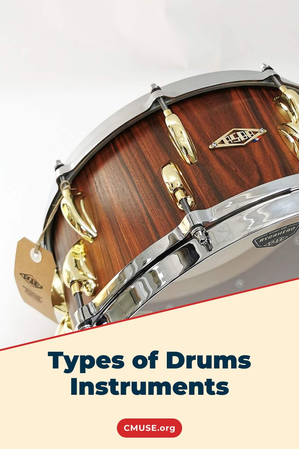 Types of Drums Instruments
