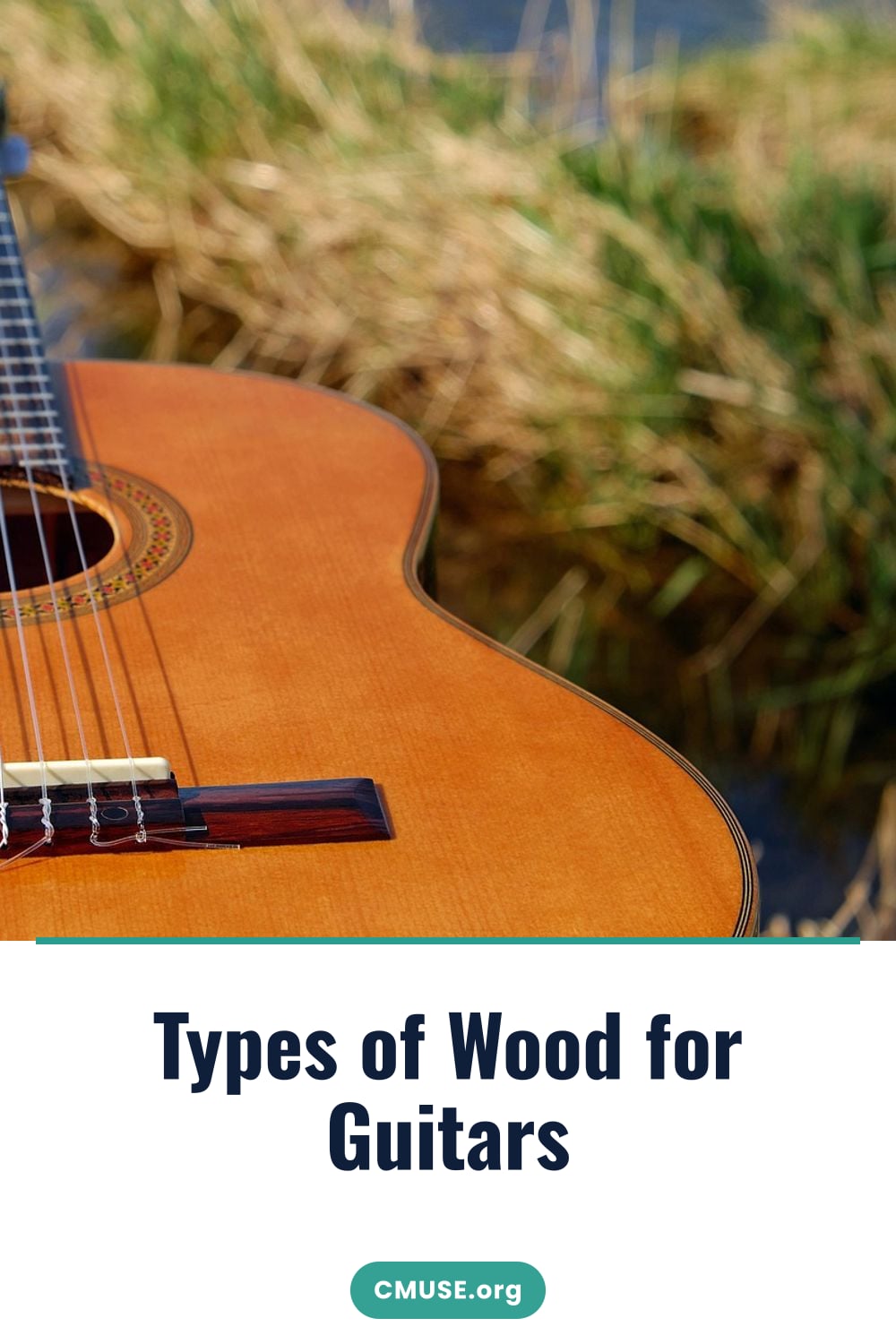 Types of Wood for Guitars Types of Wood for Guitars