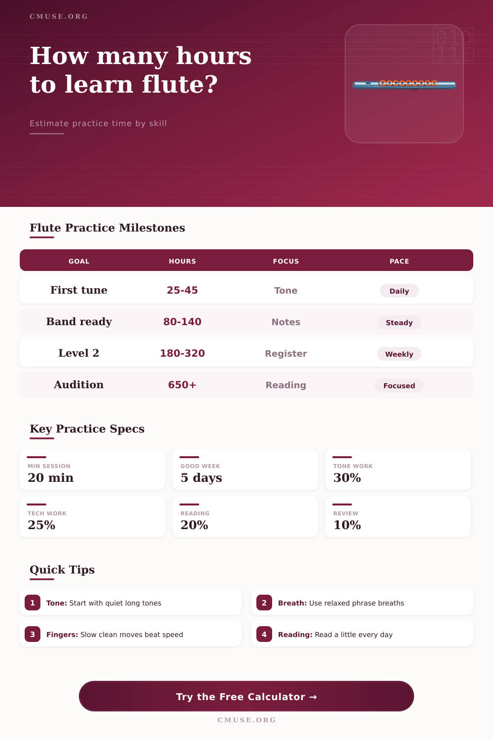 Practice Hours to Learn Flute Calculator